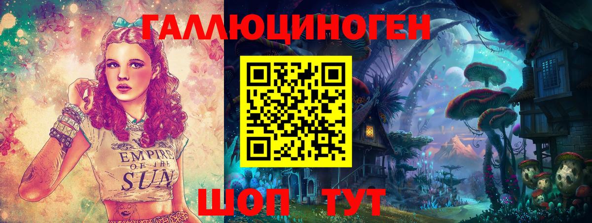 Галлюциногенные грибы Psilocybine cubensis  Галлюциногенные грибы мицелий  Вход с VPN  Коломна 
